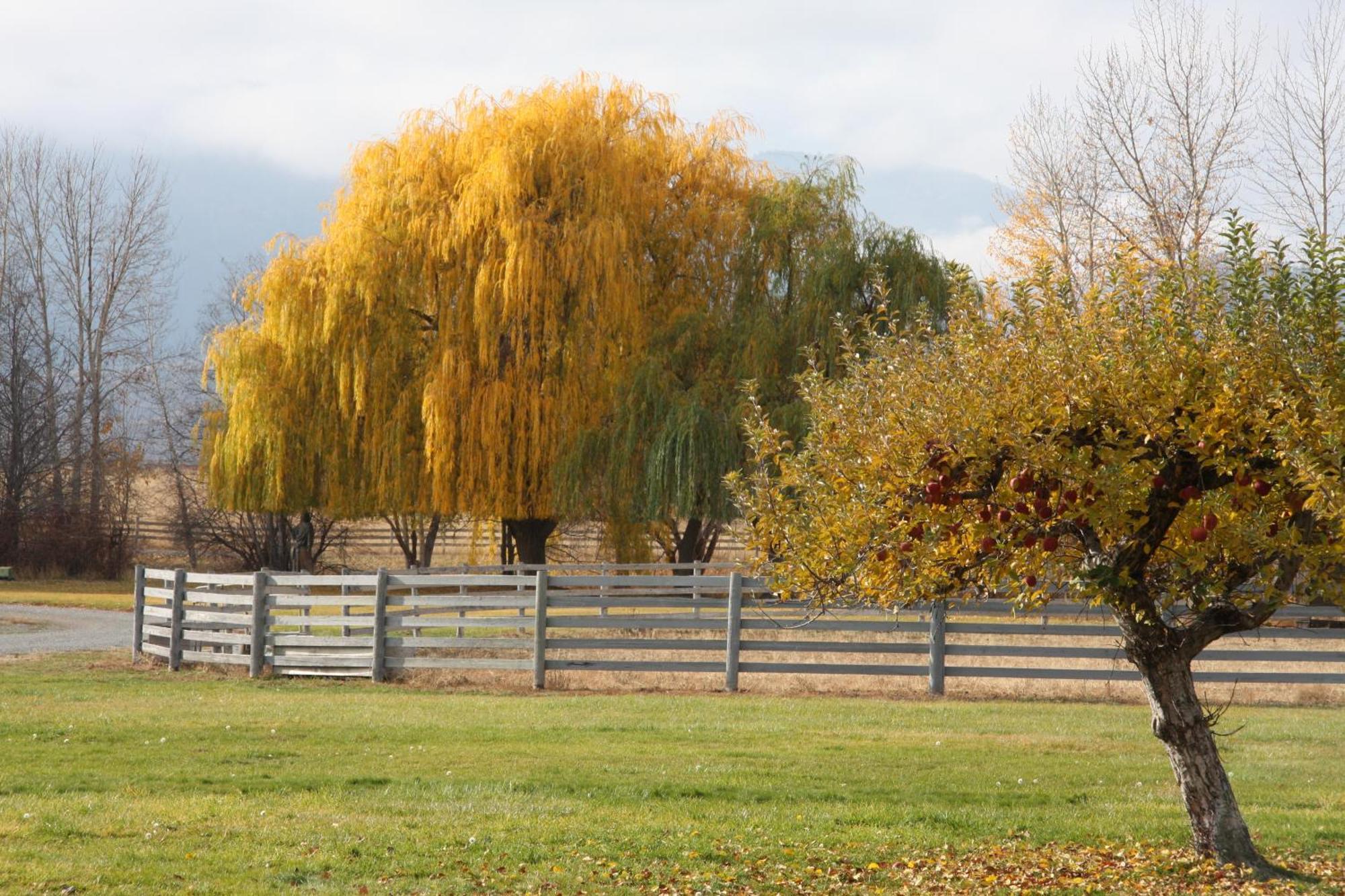 Casia Lodge And Ranch Twisp Bagian luar foto